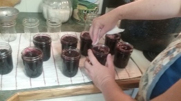 Blueberry Jam in process